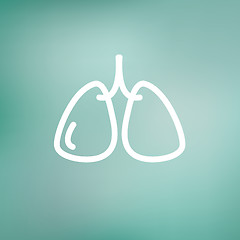 Image showing Lungs thin line icon