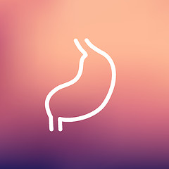 Image showing Stomach thin line icon