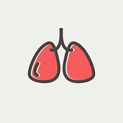 Image showing Lungs thin line icon