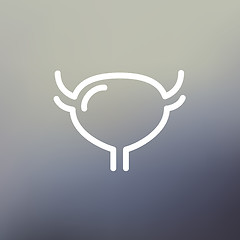 Image showing Uterus and ovaries thin line icon