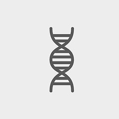 Image showing DNA thin line icon