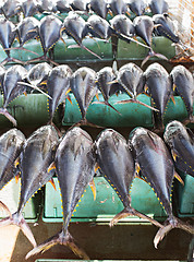 Image showing Tuna fish at a market