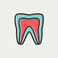 Image showing Molar tooth thin line icon