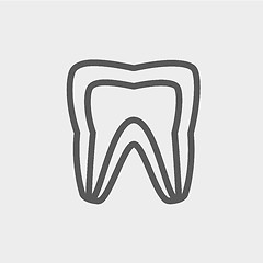 Image showing Molar tooth thin line icon