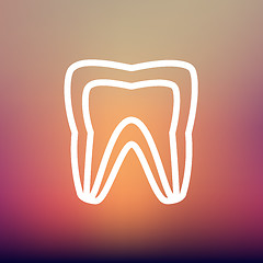 Image showing Molar tooth thin line icon