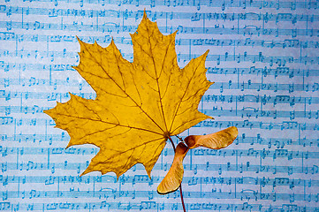 Image showing Autumn leaf 