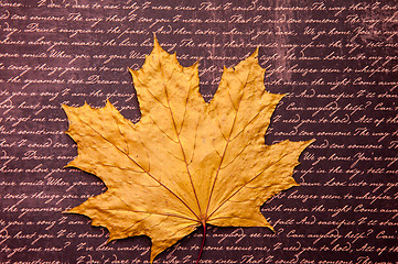 Image showing Autumn leaf 