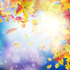 Image showing Autumnal natural bokeh with sun. EPS 10