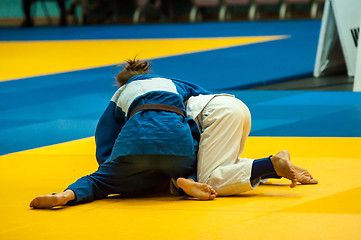 Image showing Girl in Judo