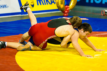 Image showing Two wrestler