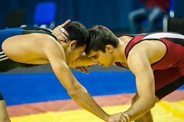 Image showing Sports wrestling