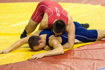 Image showing Sports wrestling