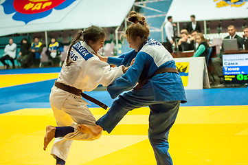 Image showing Girl in Judo