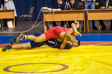 Image showing Sports wrestling