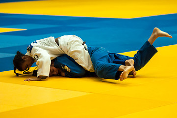 Image showing Girl in Judo