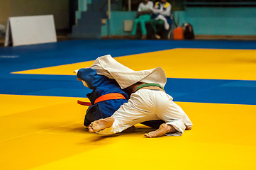 Image showing Judo competition youth 