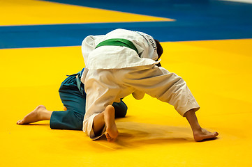 Image showing Two judoka