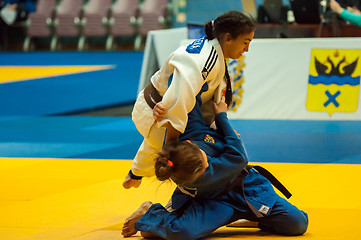 Image showing Girl in Judo