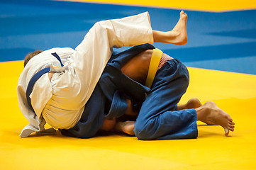 Image showing Judo competition youth 