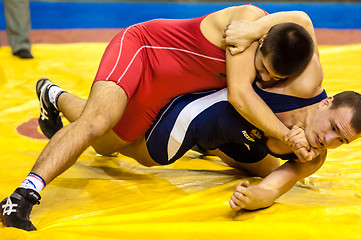 Image showing Sports wrestling