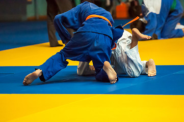 Image showing Judo competition youth 