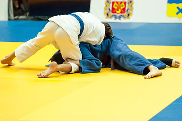 Image showing Young men in Judo