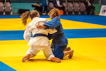 Image showing Fighter girl in Judo