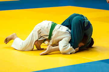 Image showing Two judoka