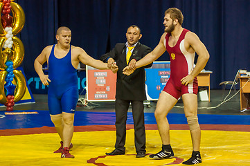 Image showing Sports wrestling