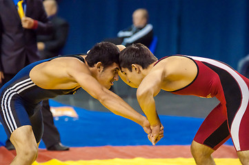 Image showing Sports wrestling