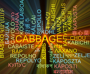 Image showing Cabbage multilanguage wordcloud background concept glowing