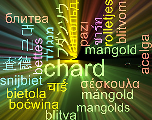 Image showing Chard multilanguage wordcloud background concept glowing