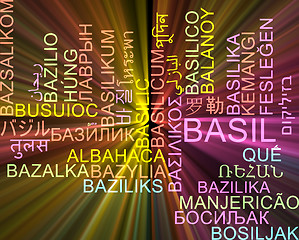 Image showing Basil multilanguage wordcloud background concept glowing