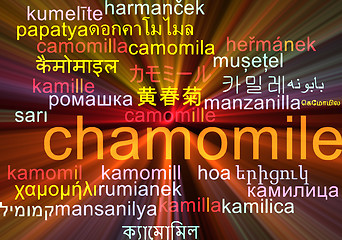 Image showing Chamomile multilanguage wordcloud background concept glowing