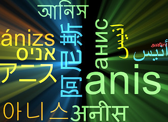 Image showing Anis multilanguage wordcloud background concept glowing