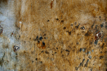 Image showing Dark Wood Texture Background