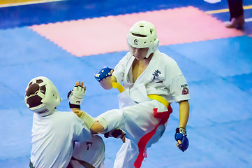 Image showing Open karate tournament kiokusinkaj