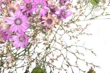 Image showing flower background