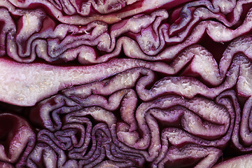 Image showing red cabbage background