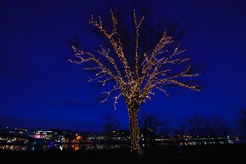 Image showing The decorated tree.