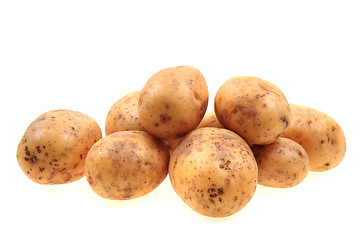 Image showing fresh potatoes isolated 