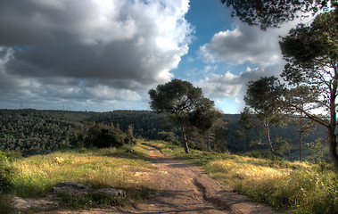 Image showing Spring season landscape