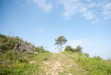 Image showing Spring season landscape