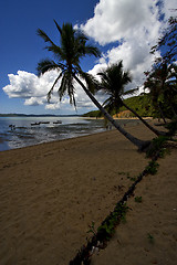 Image showing people boat palm lagoon and coastline