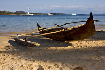 Image showing madagascar nosy be rock stone branch yacht boat palm lagoon and 