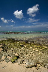 Image showing  rock and stone republica dominicana