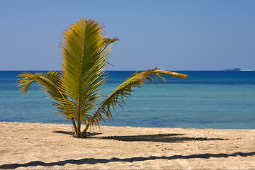 Image showing  coastline in nosy be