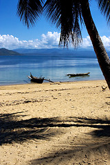 Image showing  madagascar nosy be rock  palm branch boat and coastline