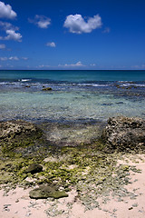 Image showing beach rock and stone dominica