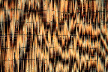 Image showing bamboo texture 